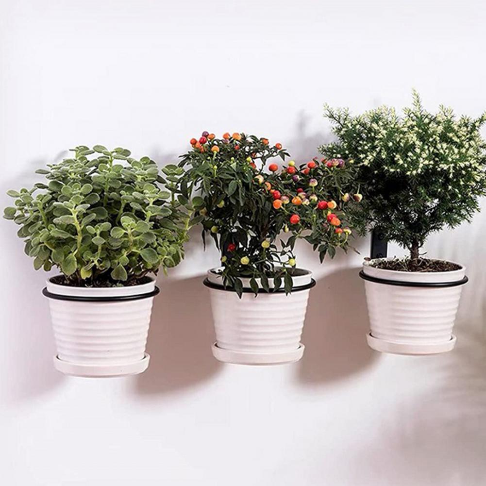花を吊るすための金属製の植木鉢ホルダー,フック,バスケット, - Screw Organizer Kit のレビューと価格